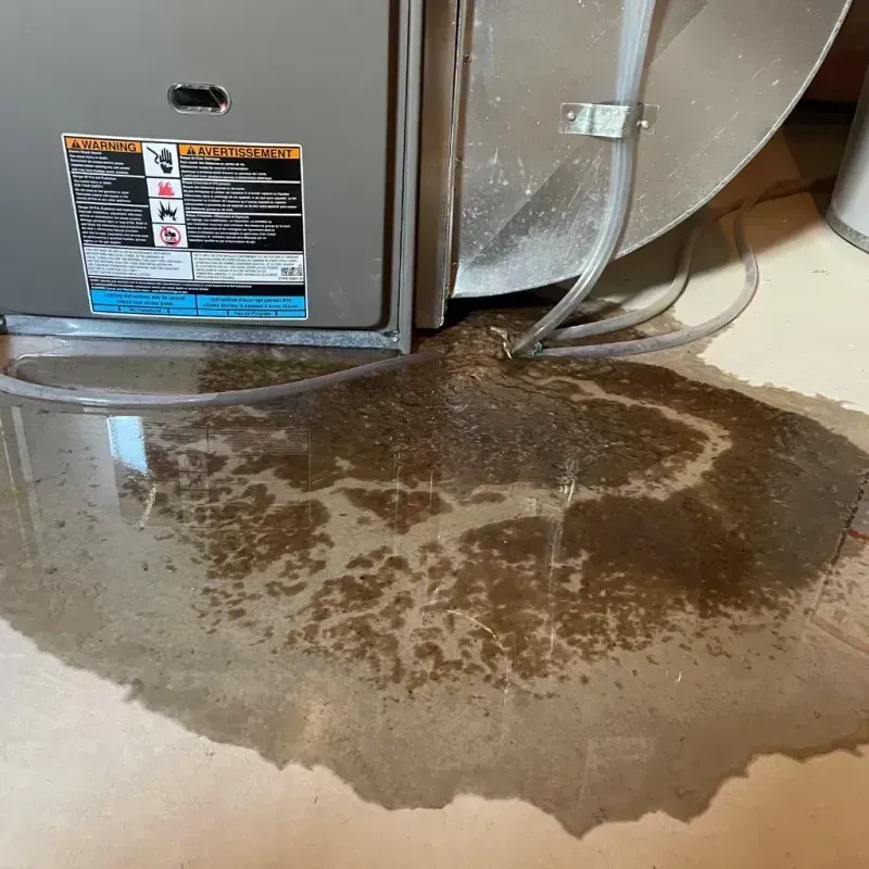 Appliance Leak Cleanup in Wayne County, IN